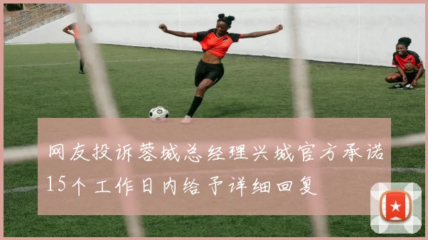 网友投诉蓉城总经理兴城官方承诺15个工作日内给予详细回复